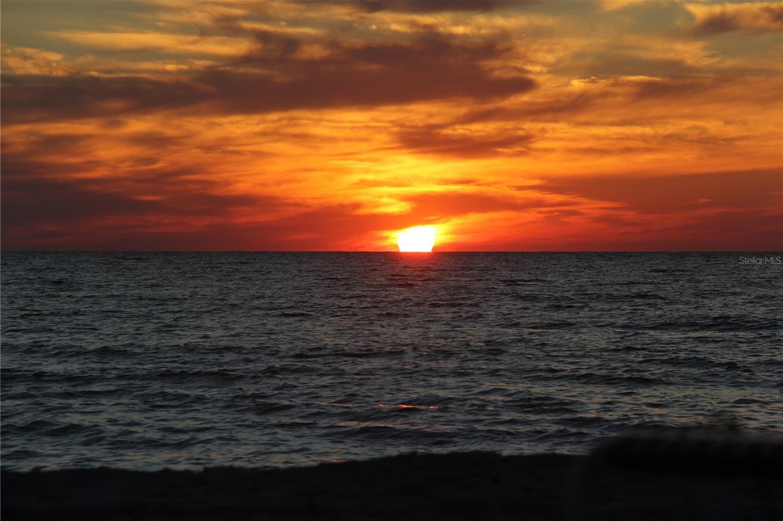 Photo #9