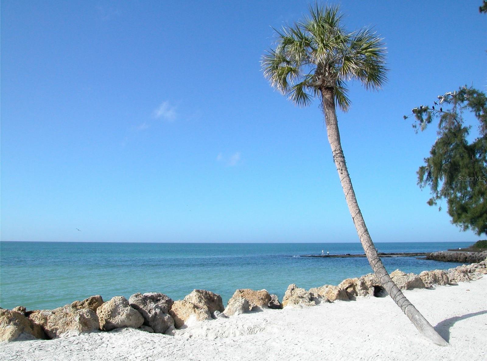 Photo #43