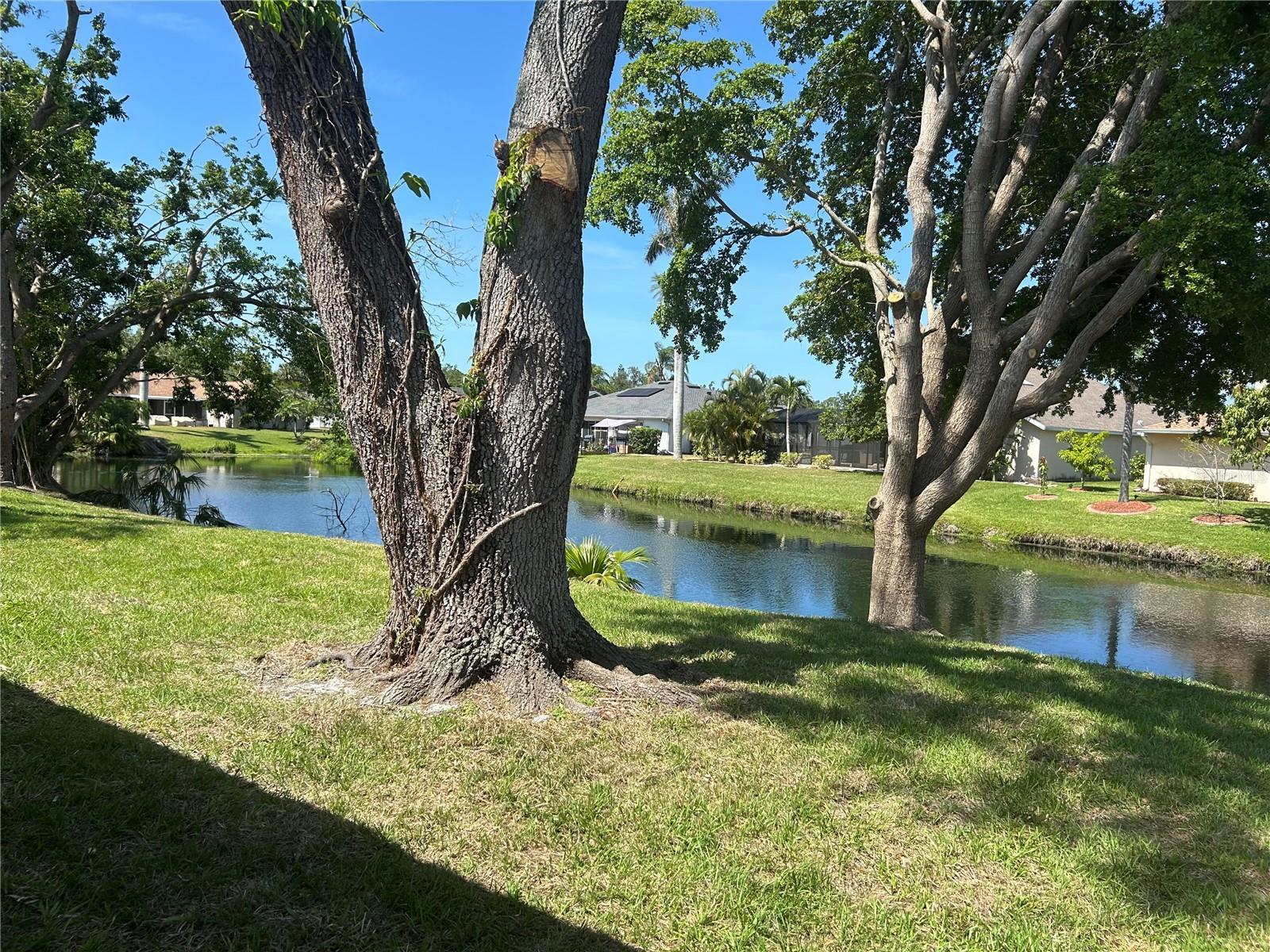 Photo #42