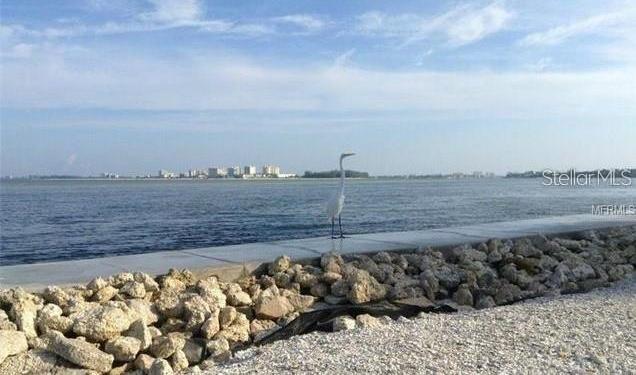 Photo #41