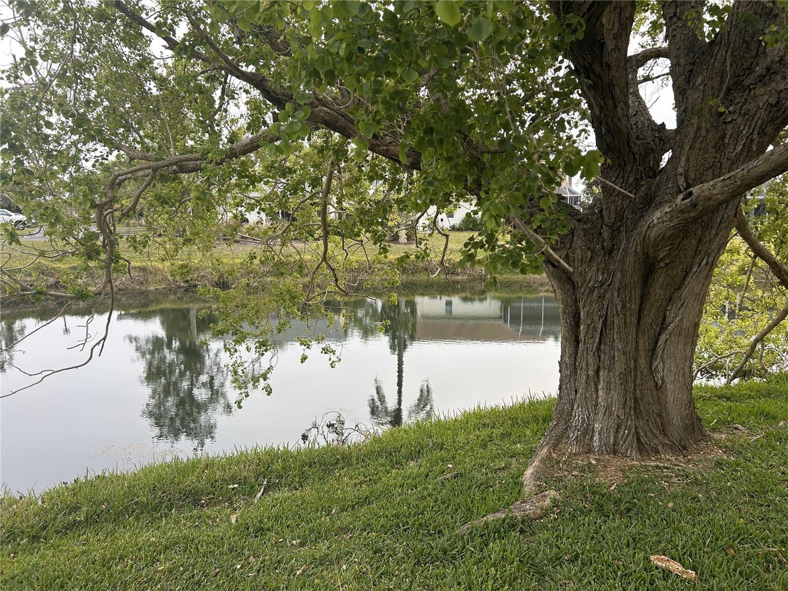 Photo #34