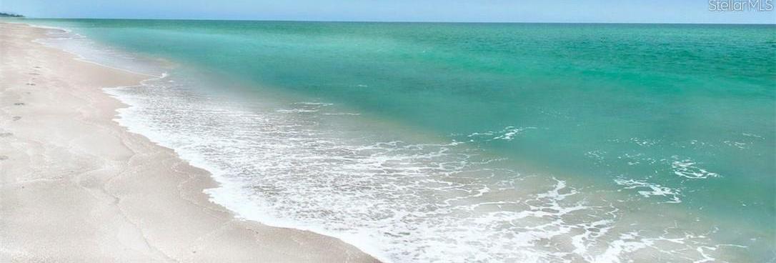 Photo #37