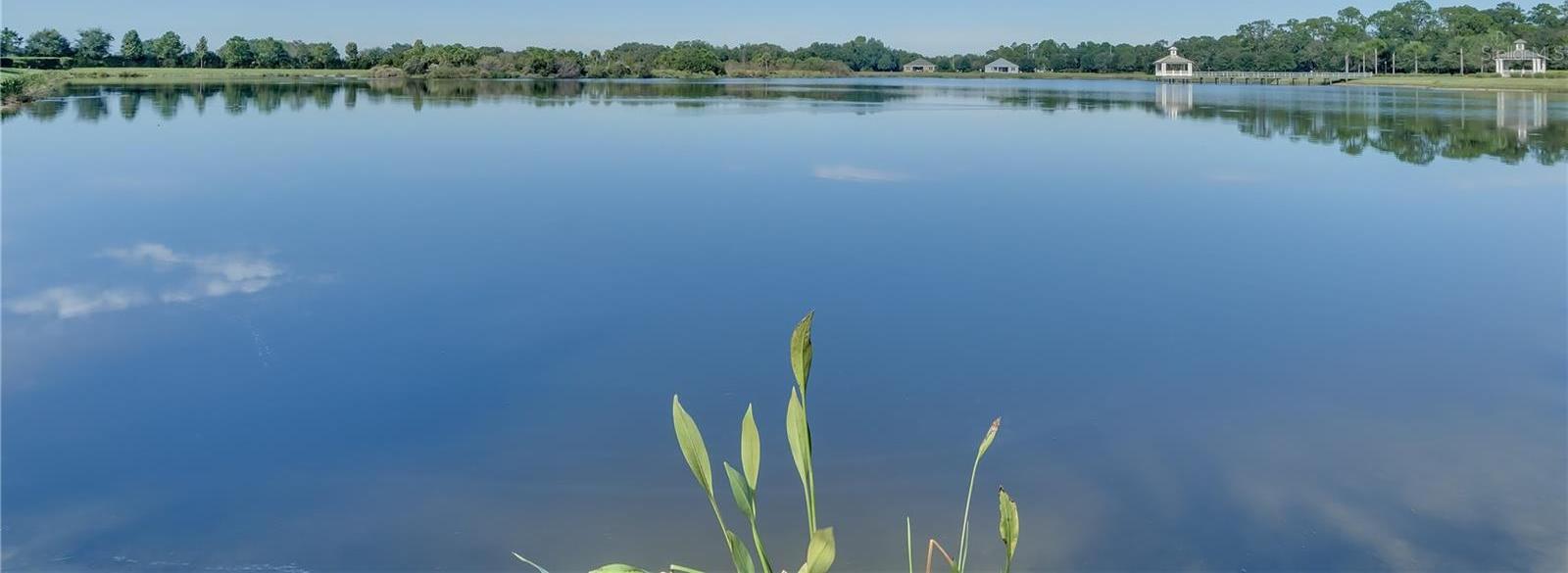 Photo #31