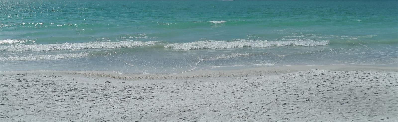 Photo #55
