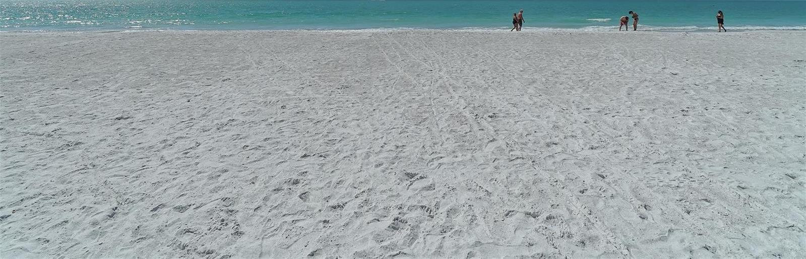 Photo #54