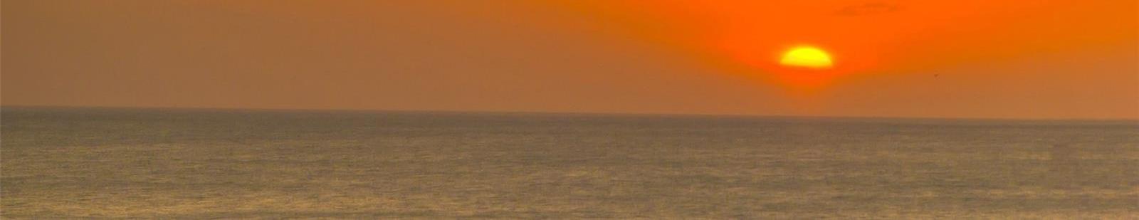 Photo #65