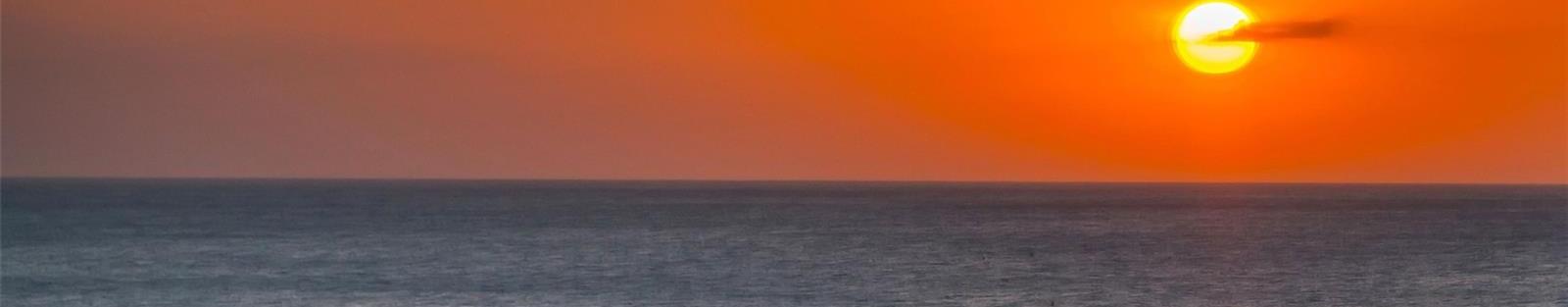 Photo #63
