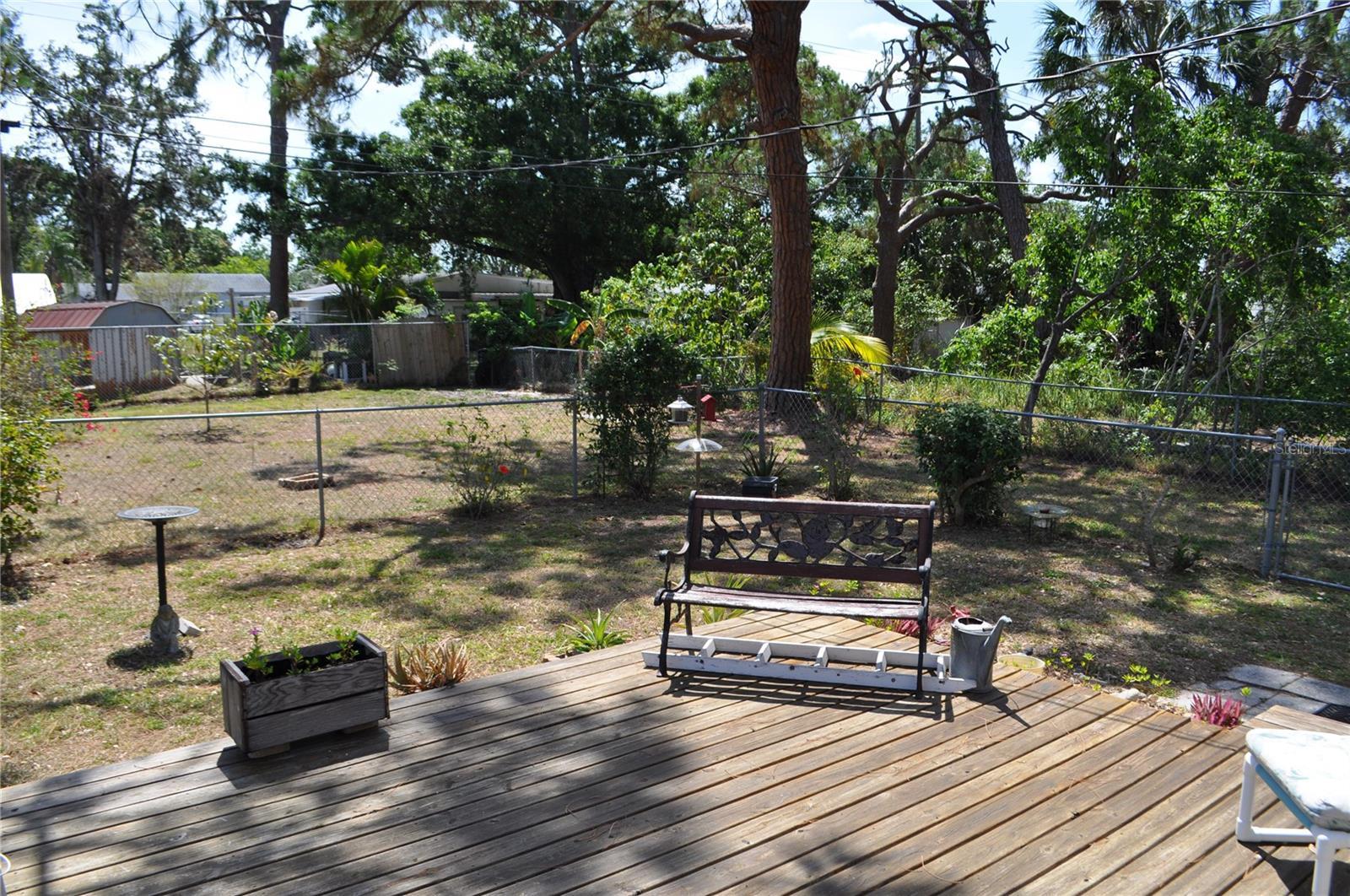 Photo #46