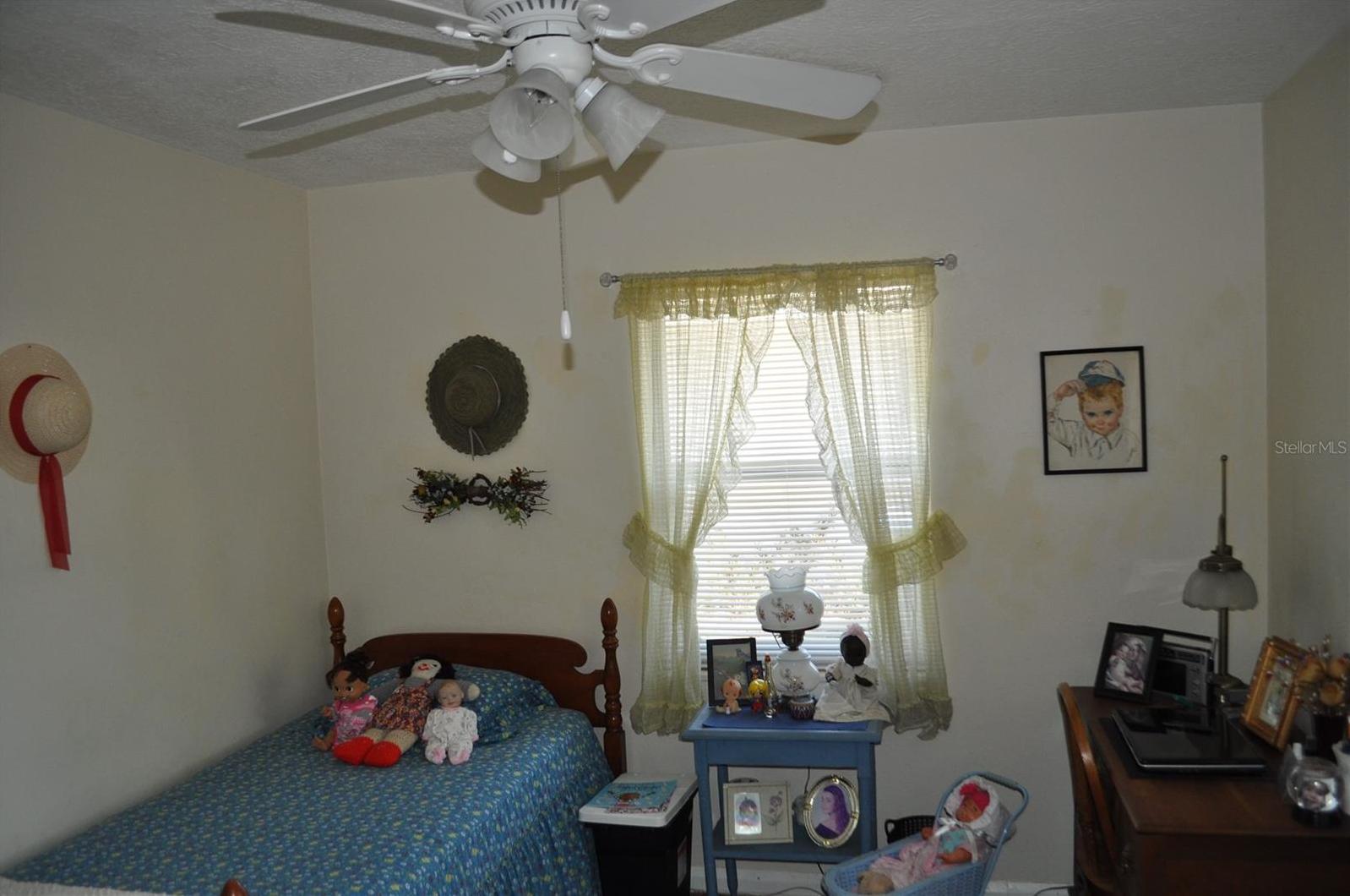 Photo #4