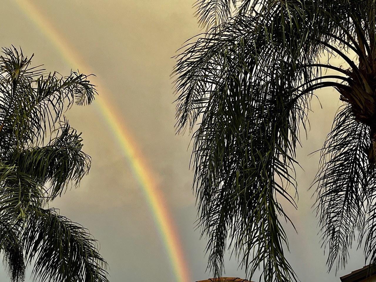 Photo #34