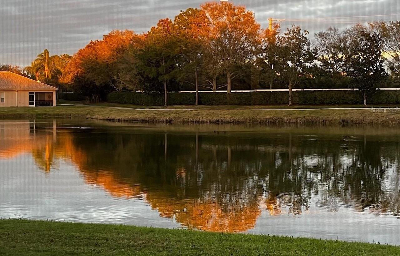 Photo #31