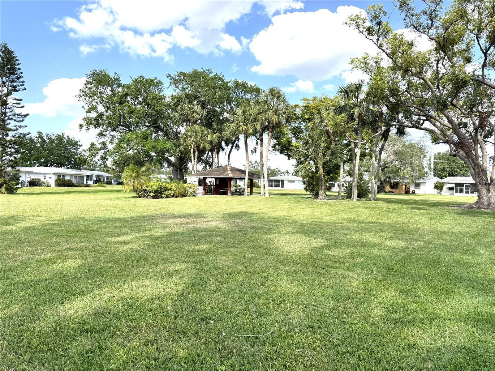Photo #21