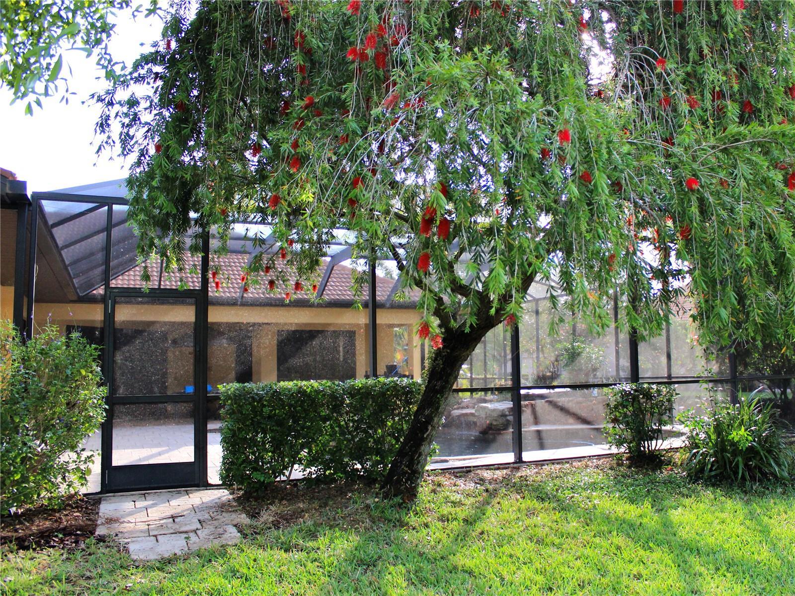 Photo #13