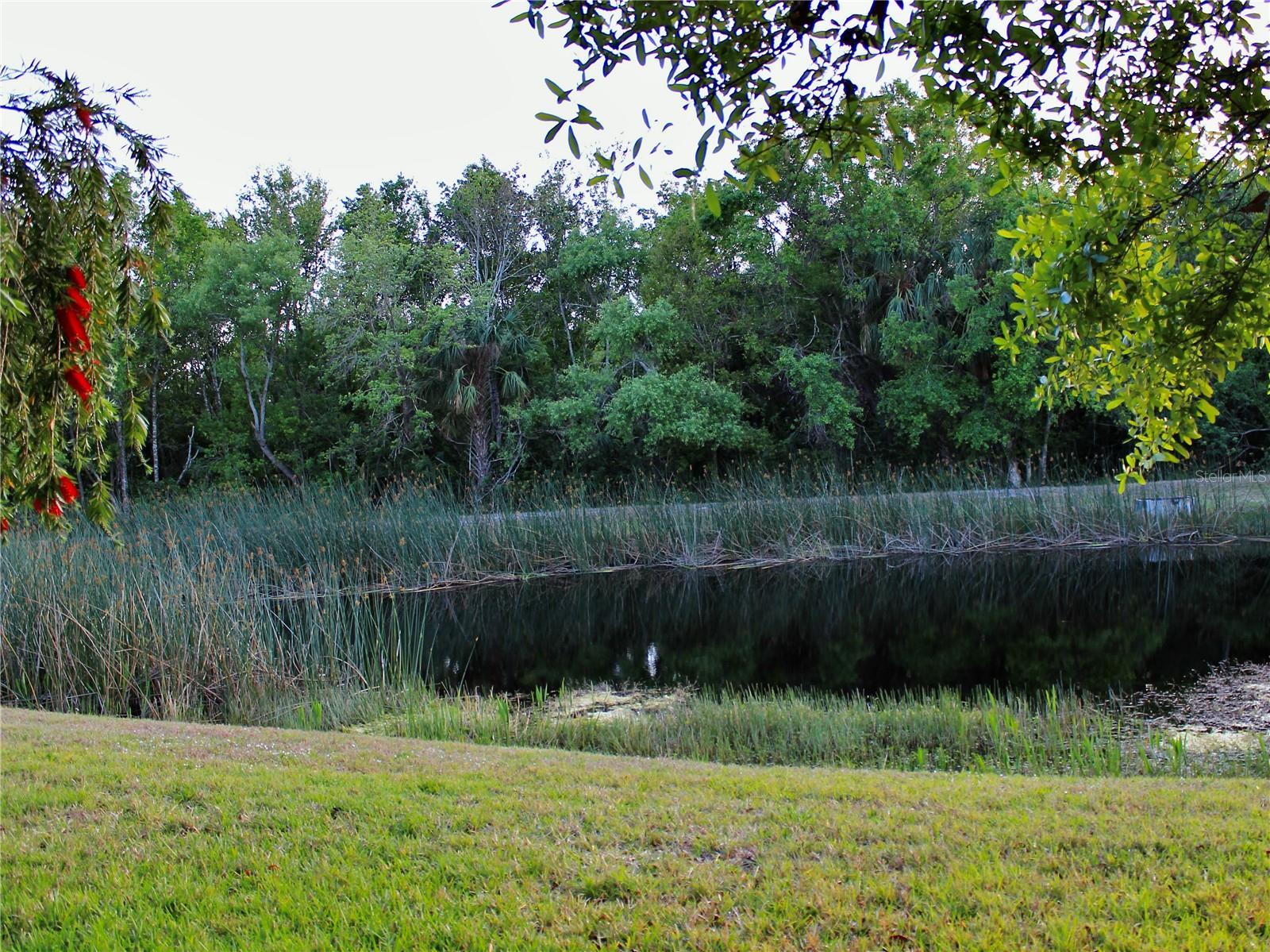 Photo #15