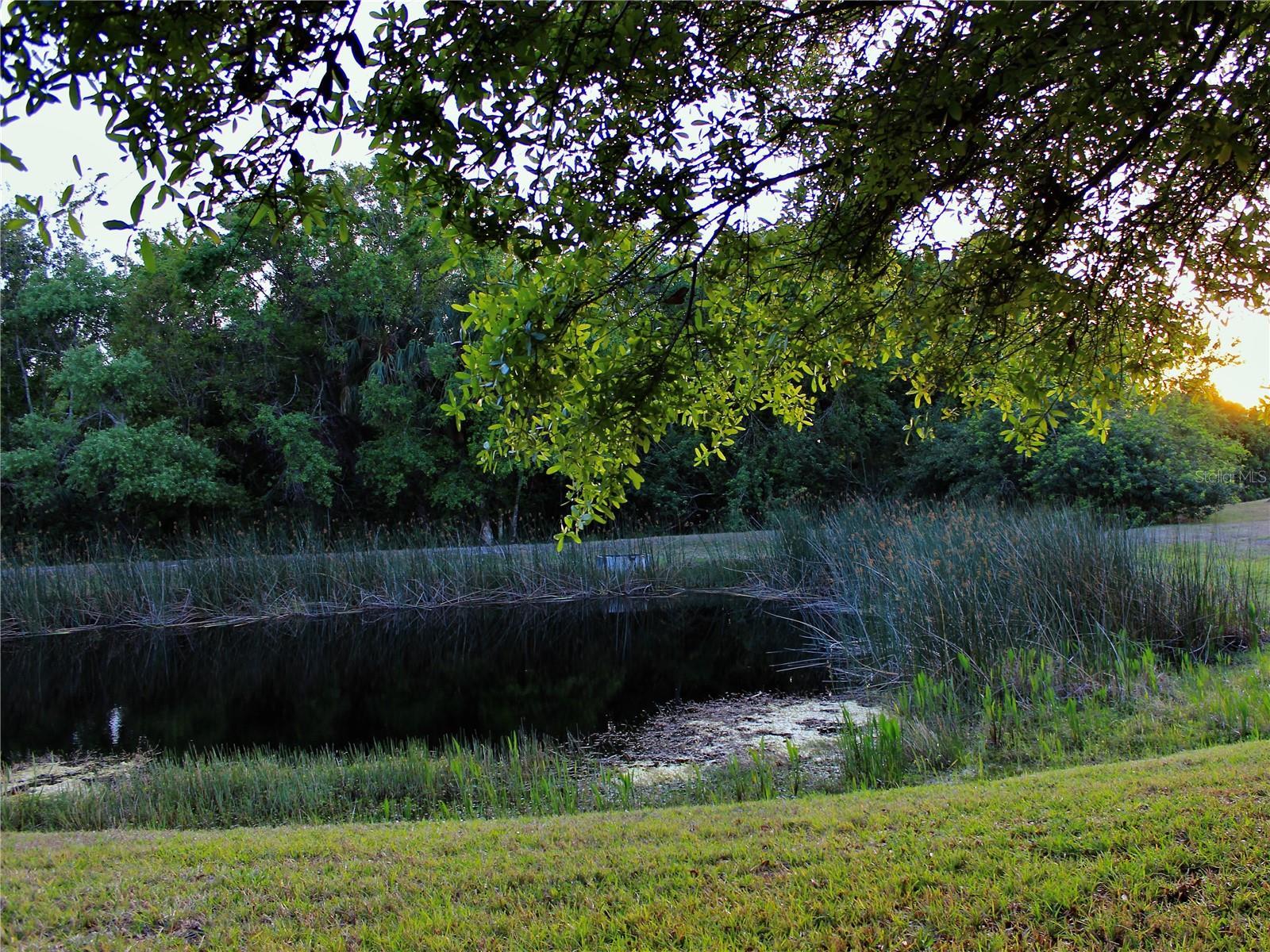 Photo #14