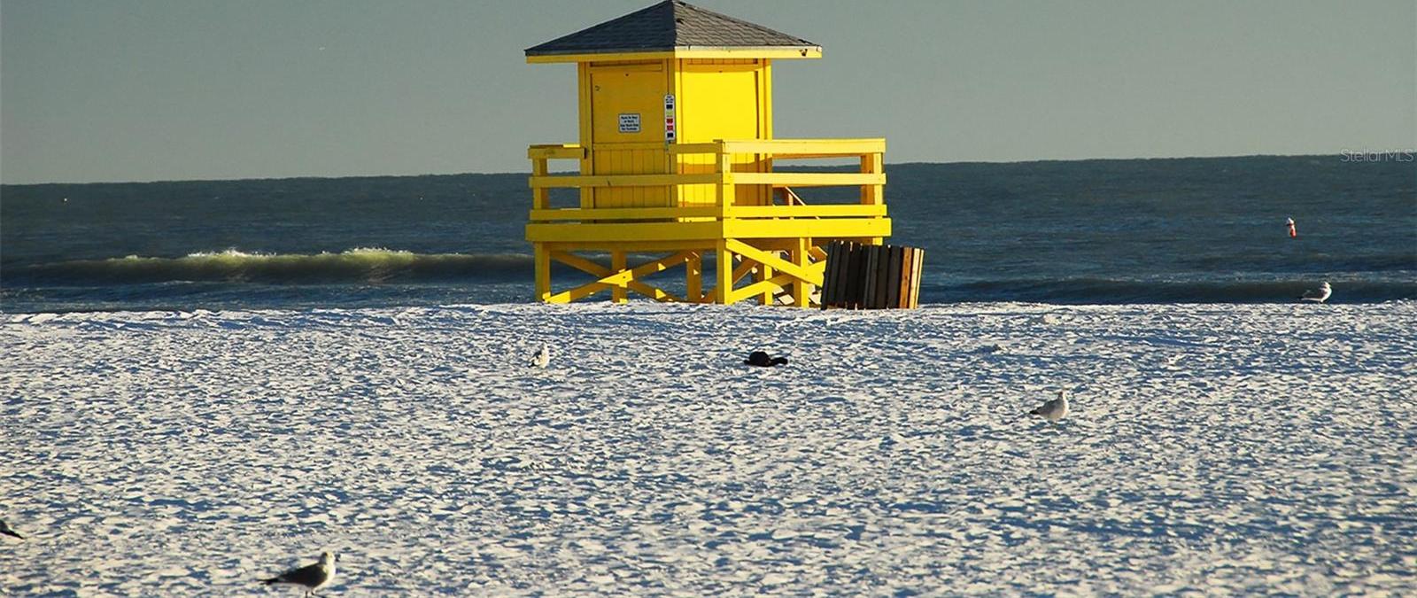 Photo #54