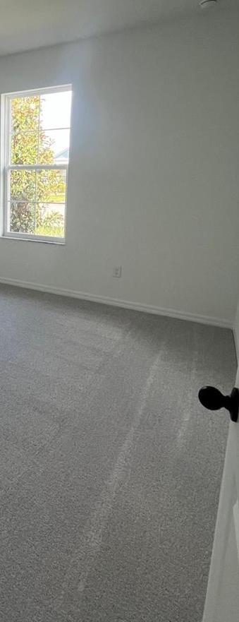 Photo #10