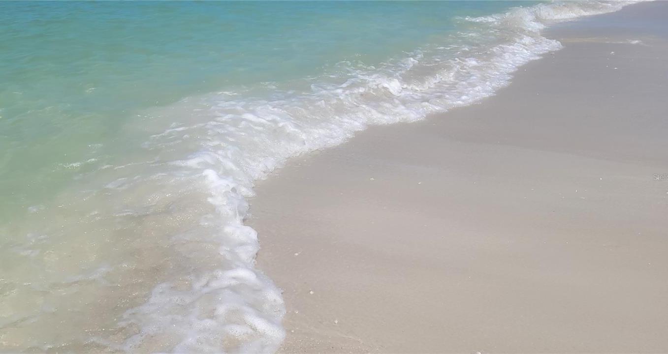 Photo #43
