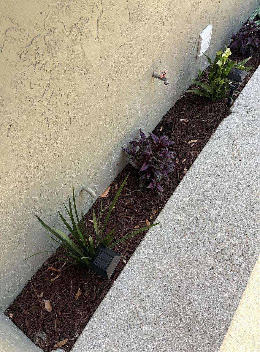 Photo #38
