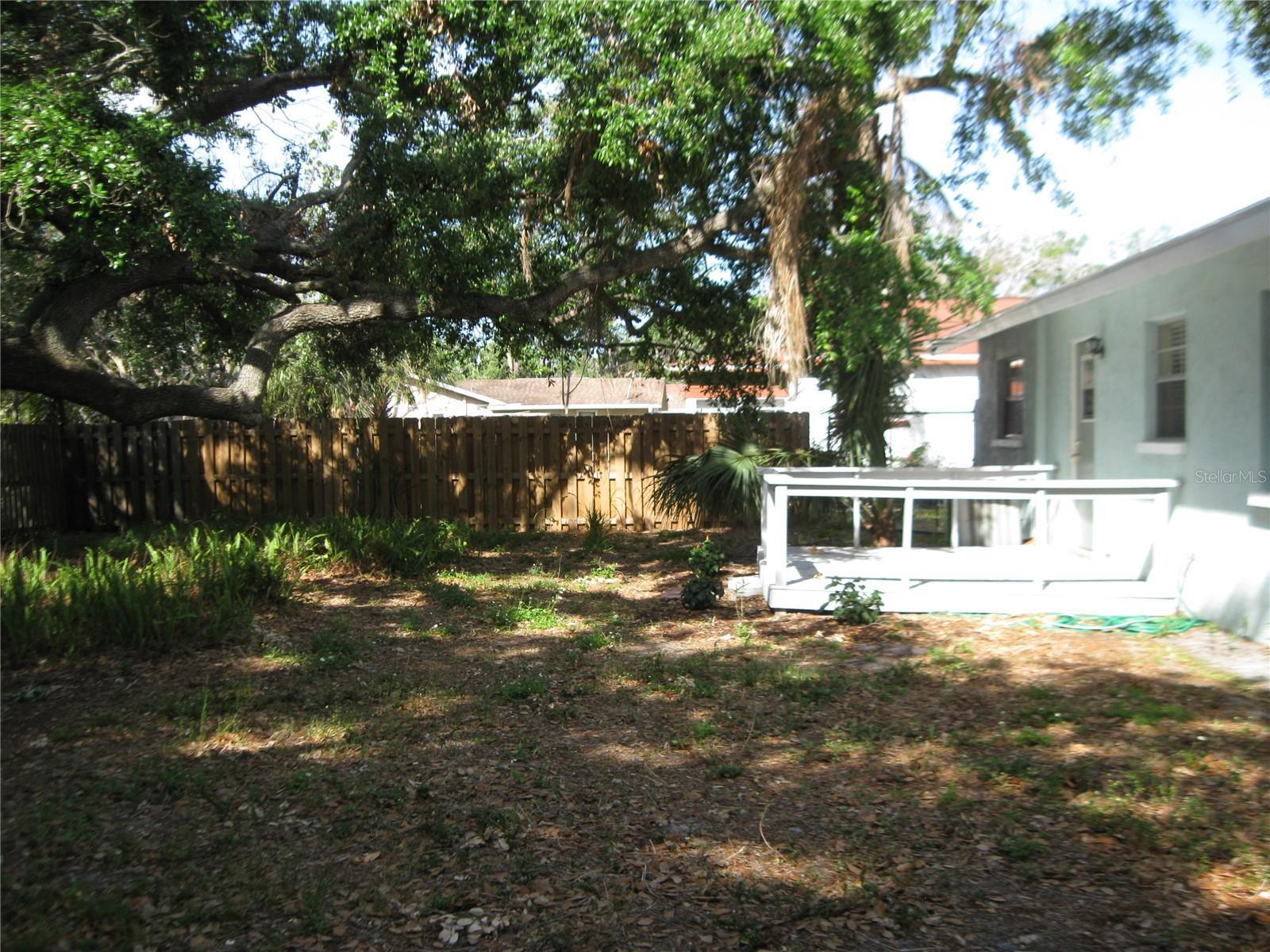 Photo #16