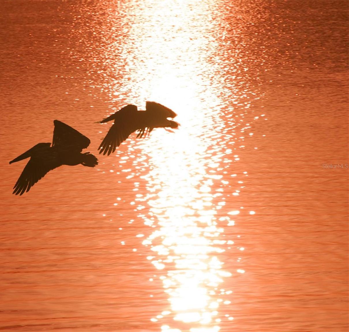 Photo #38