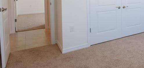 Photo #20