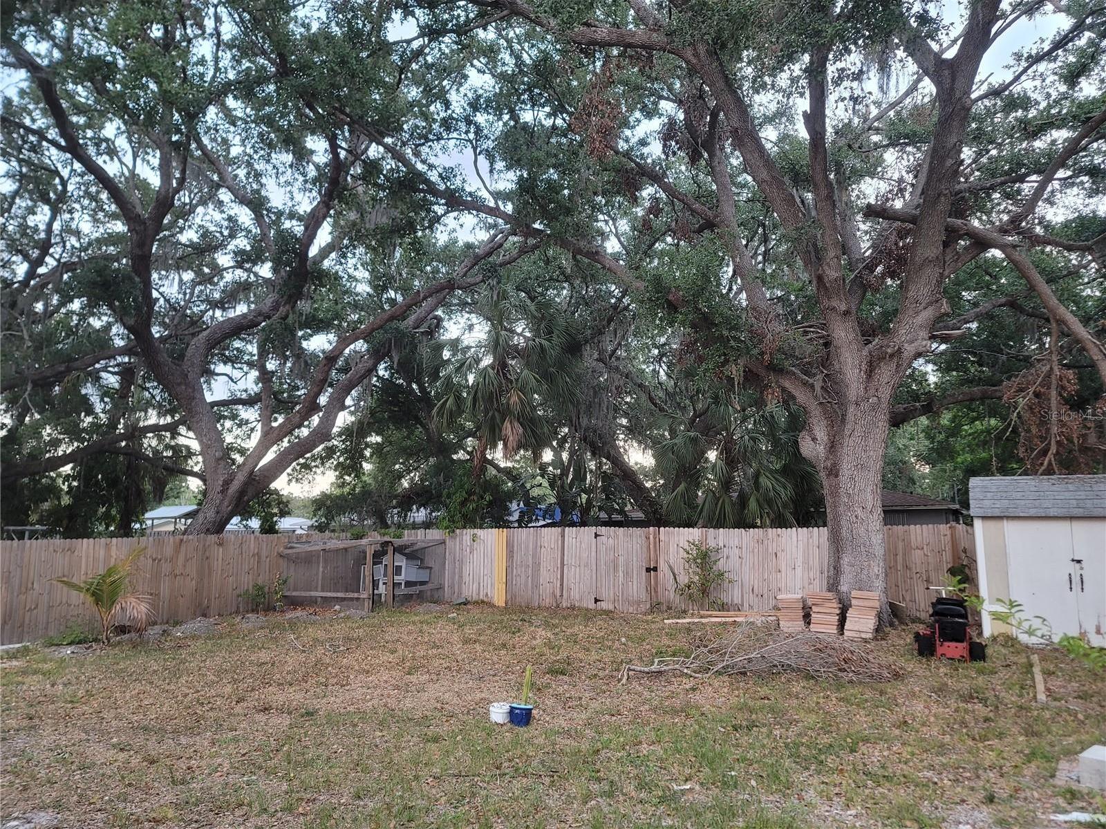 Photo #29