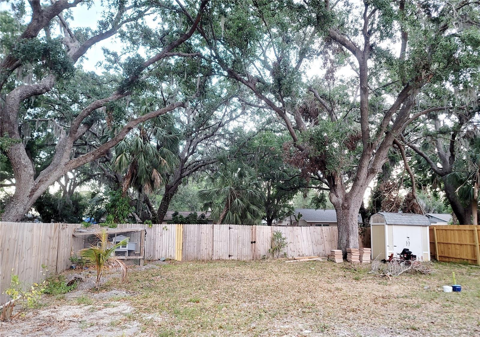 Photo #28