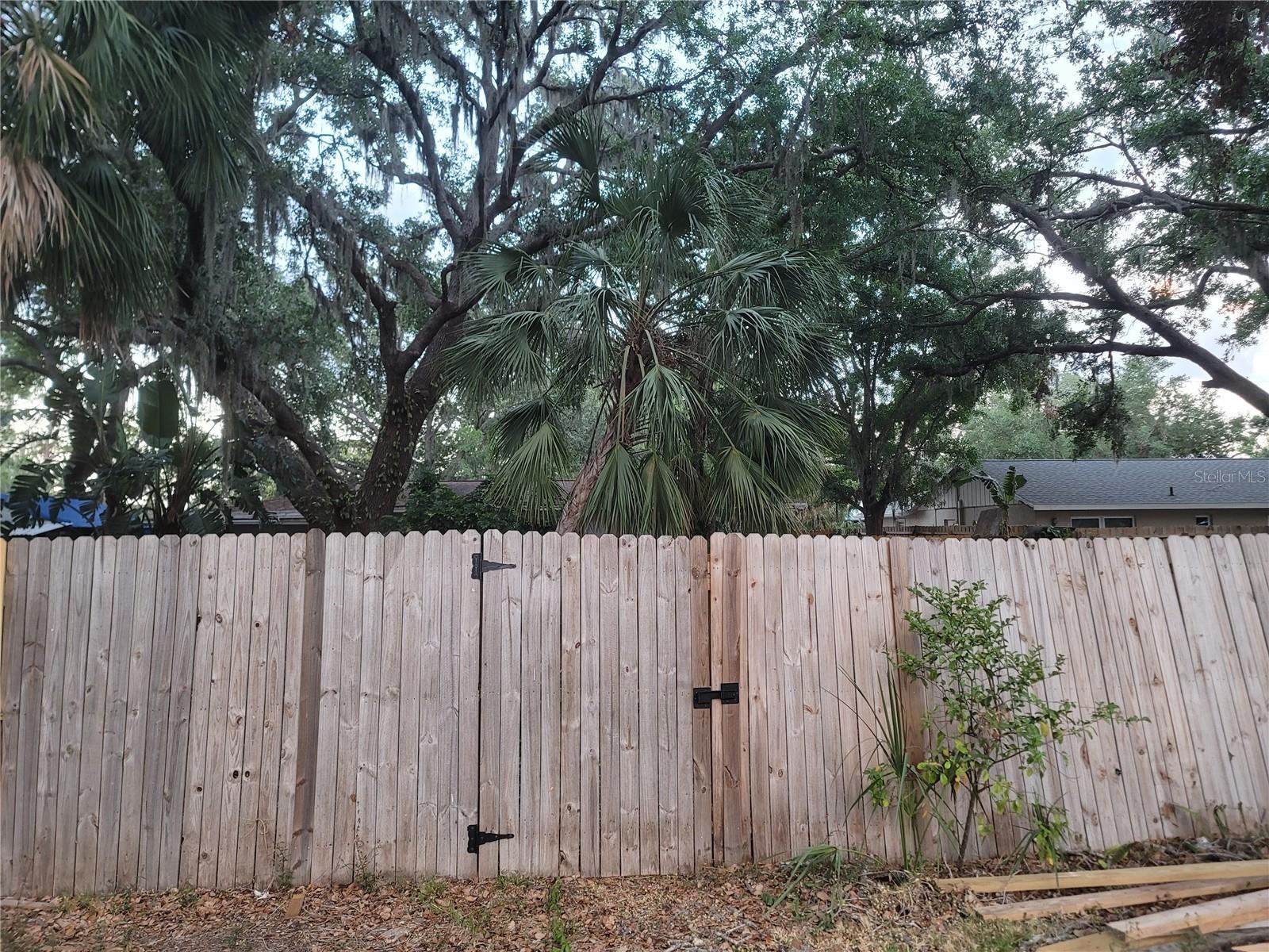 Photo #30