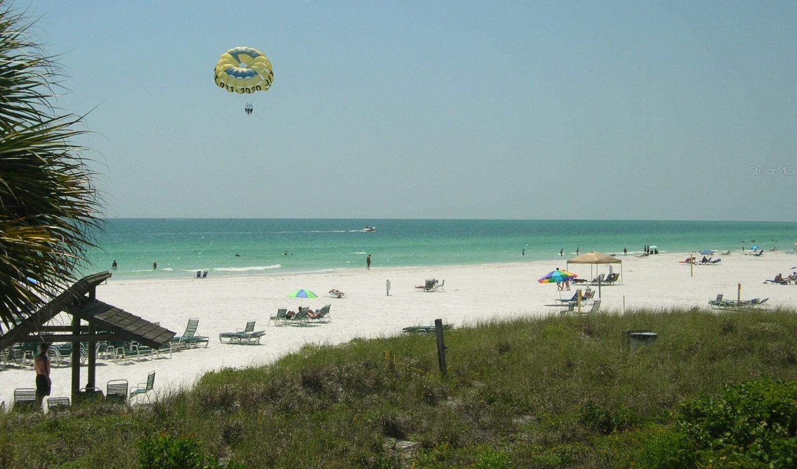 Photo #46