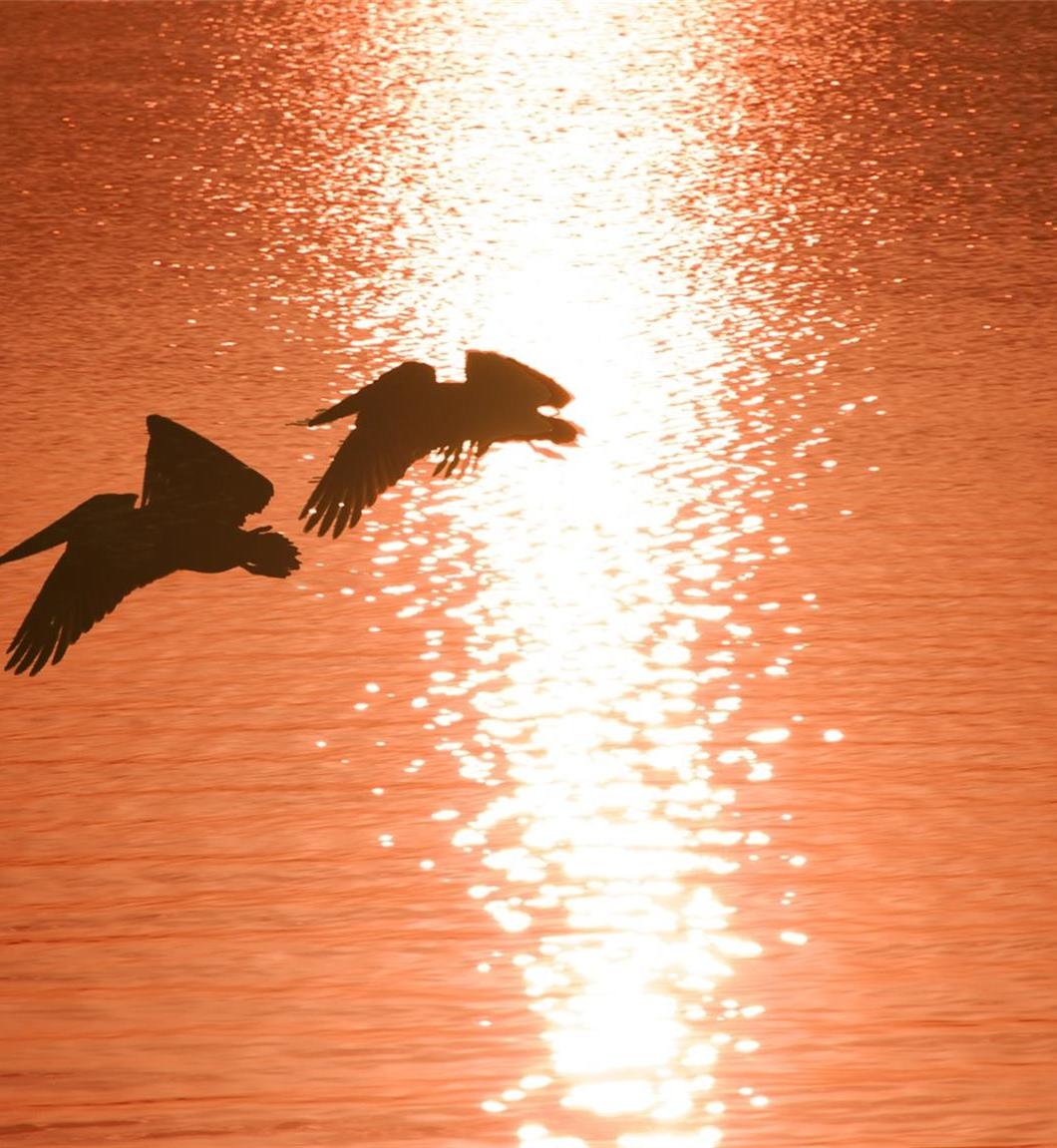 Photo #54
