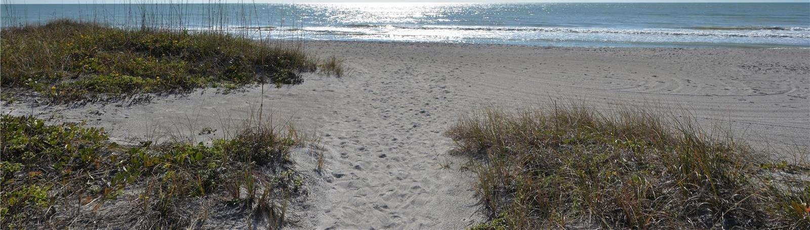 Photo #39