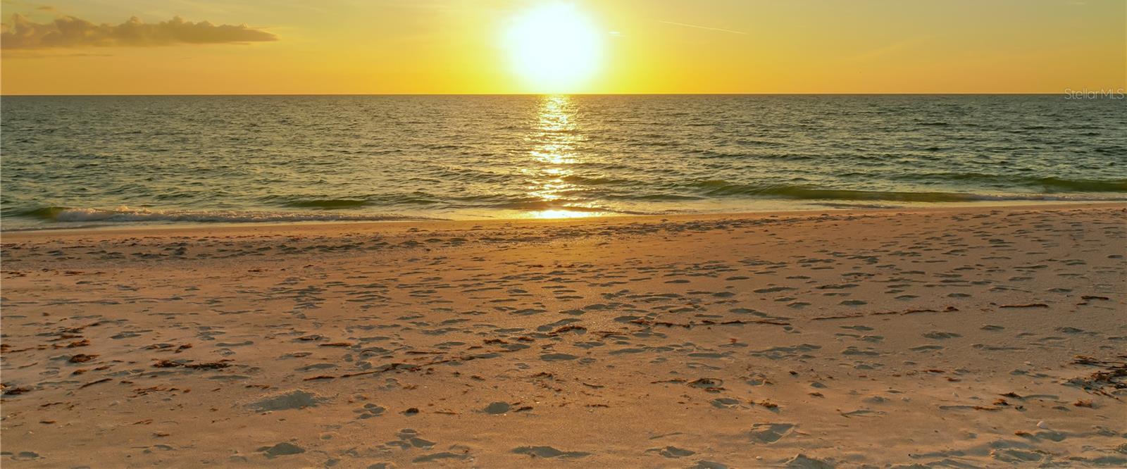 Photo #65