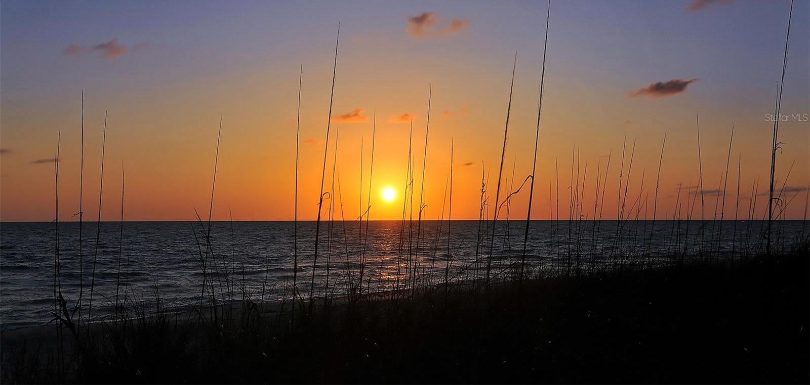 Photo #74