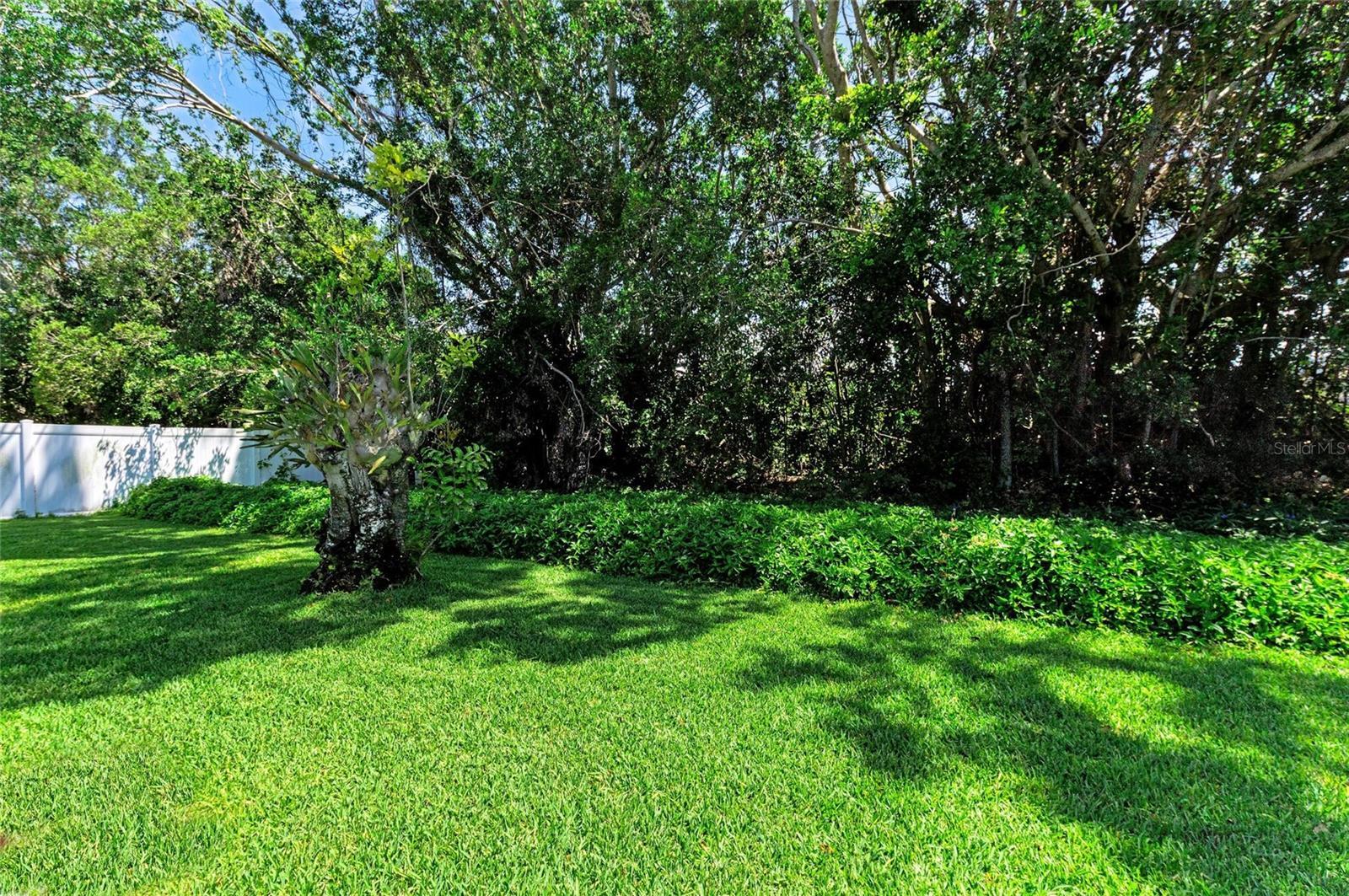 Photo #33
