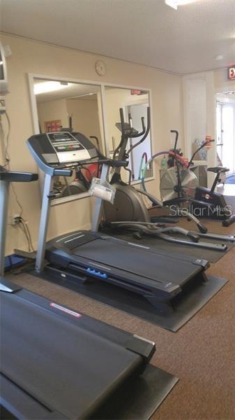 Photo #41