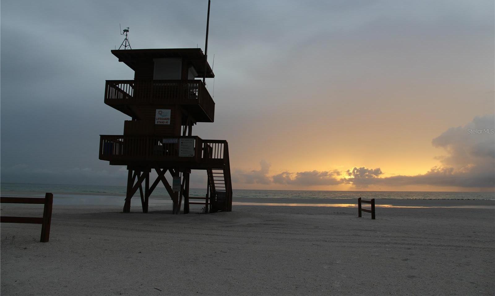 Photo #42