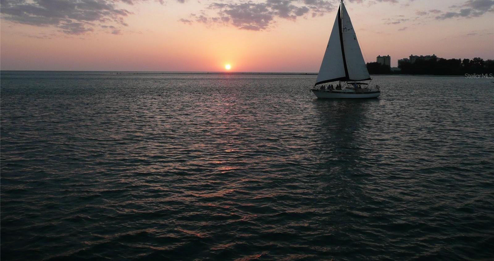 Photo #45