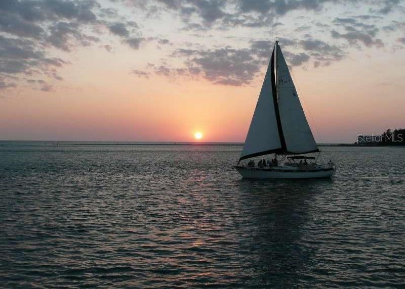 Photo #43