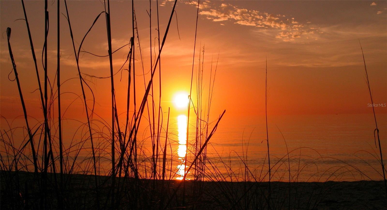 Photo #54