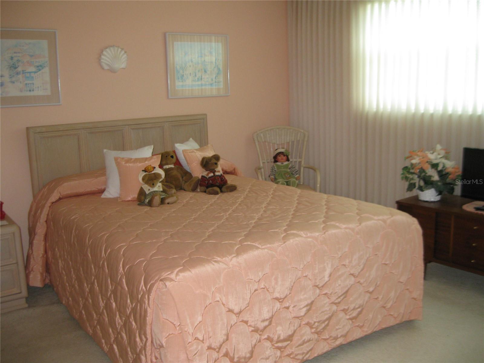 Photo #14