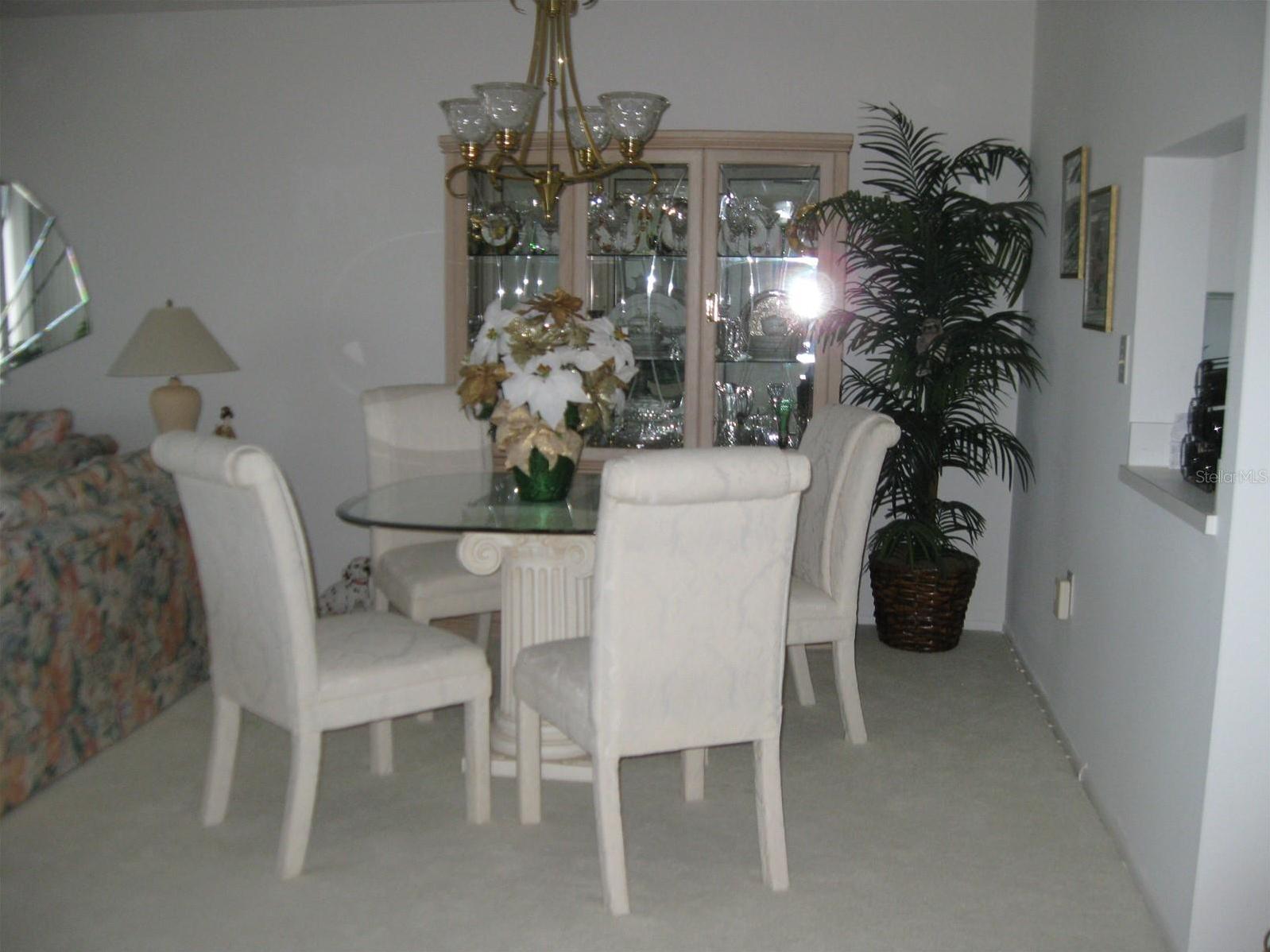 Photo #8