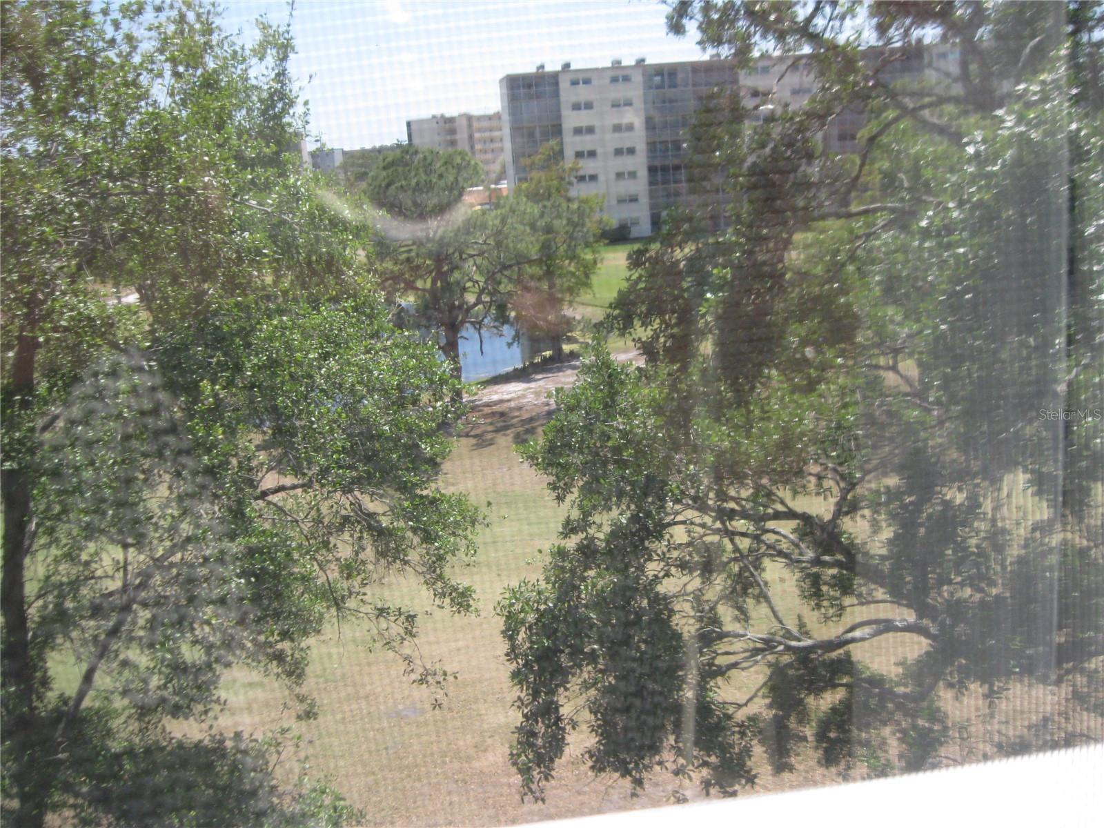 Photo #19