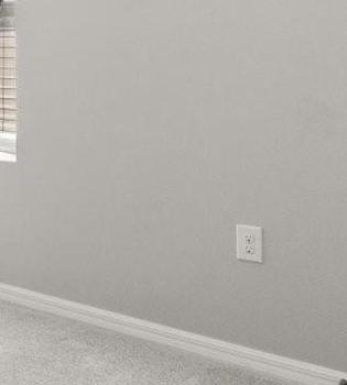 Photo #18