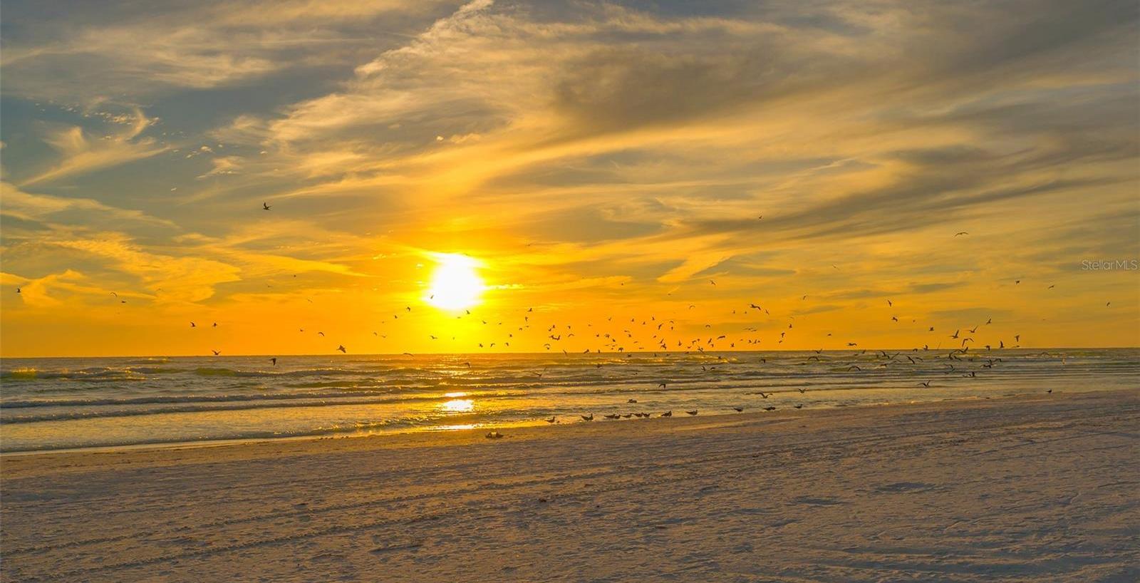 Photo #89