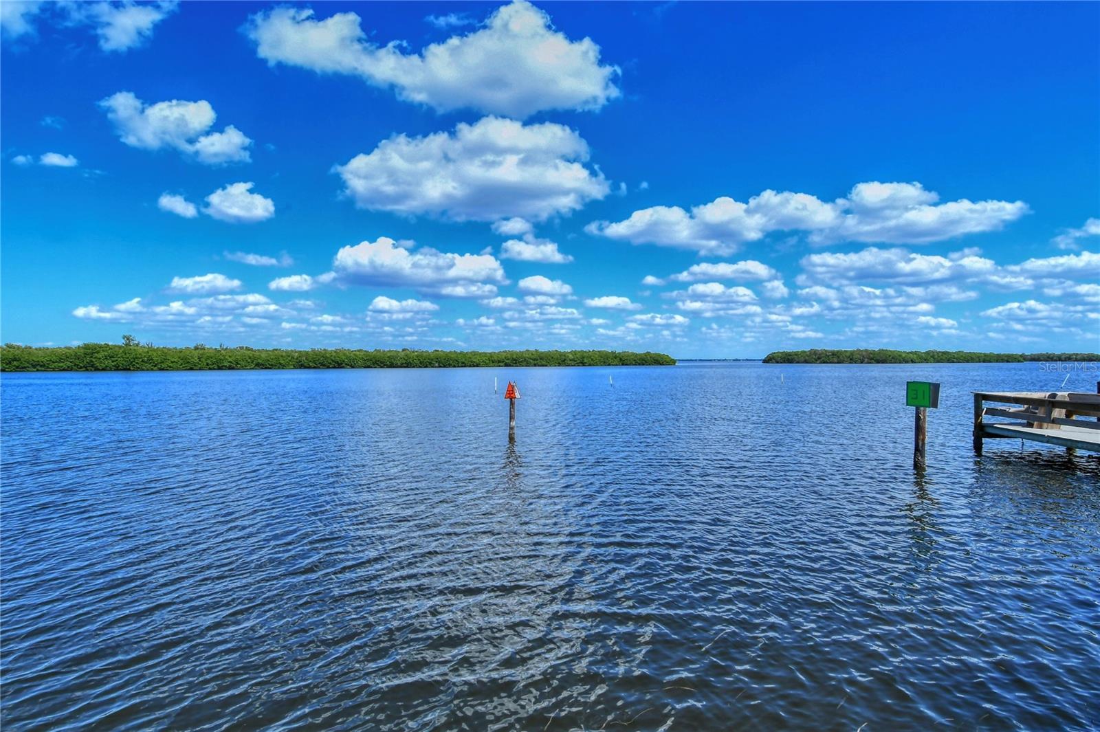 Photo #57