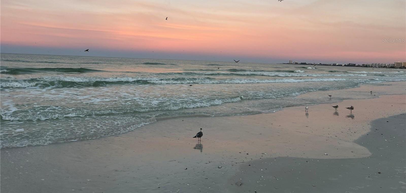 Photo #39