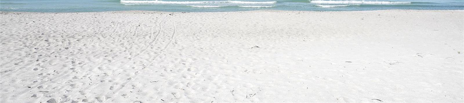 Photo #39