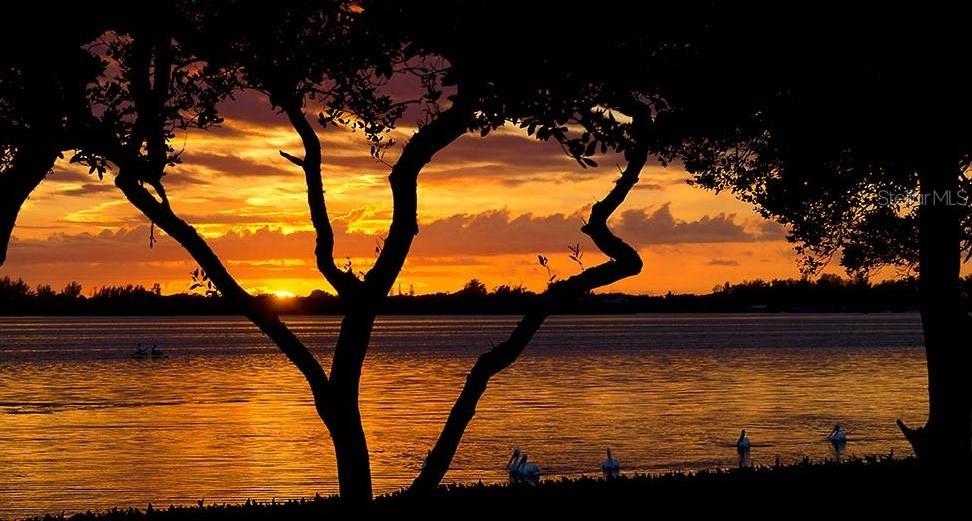 Photo #100