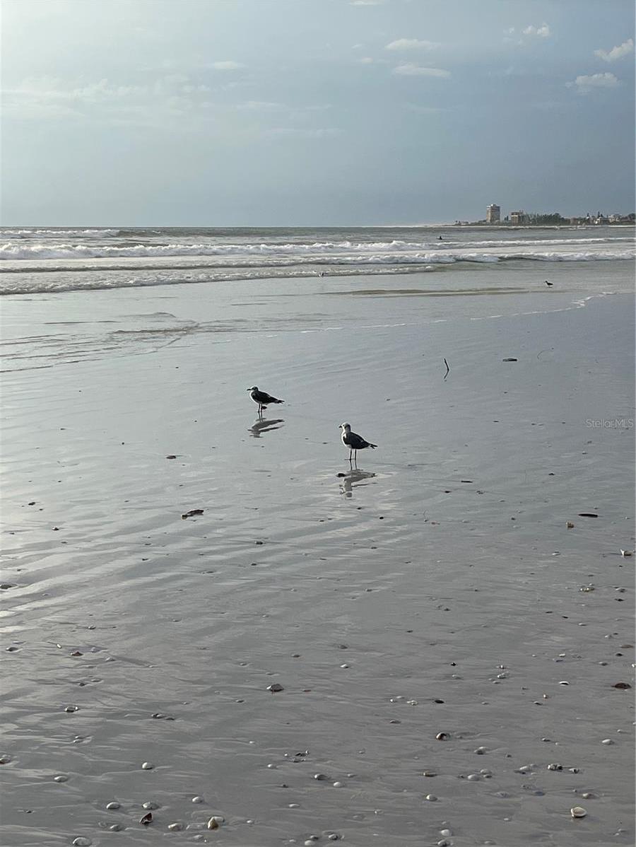 Photo #29